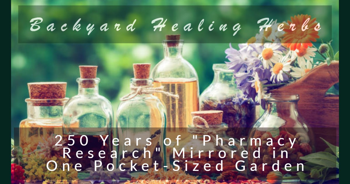 Dos and Don'ts of Essential Oils 74 Dos and Don’ts of Essential Oils