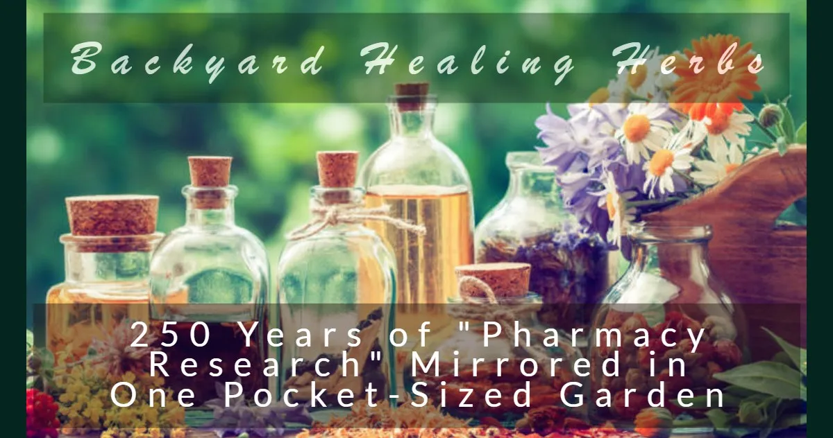 20 Best Essential Oils for Skin Whitening