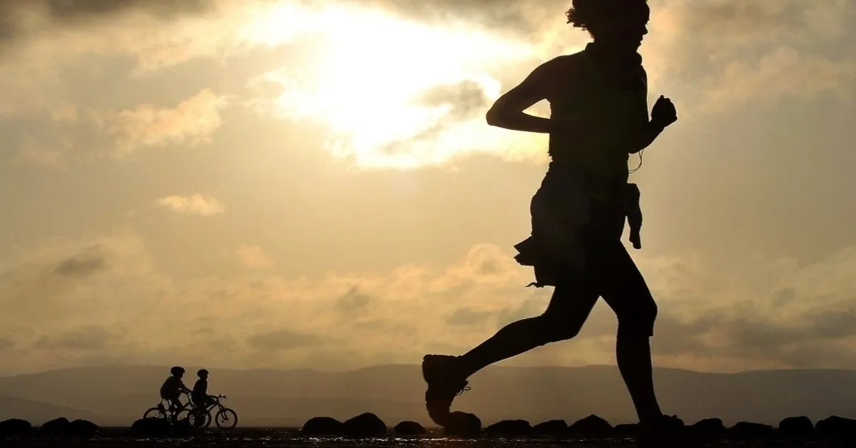 Probiotics and the Immune System