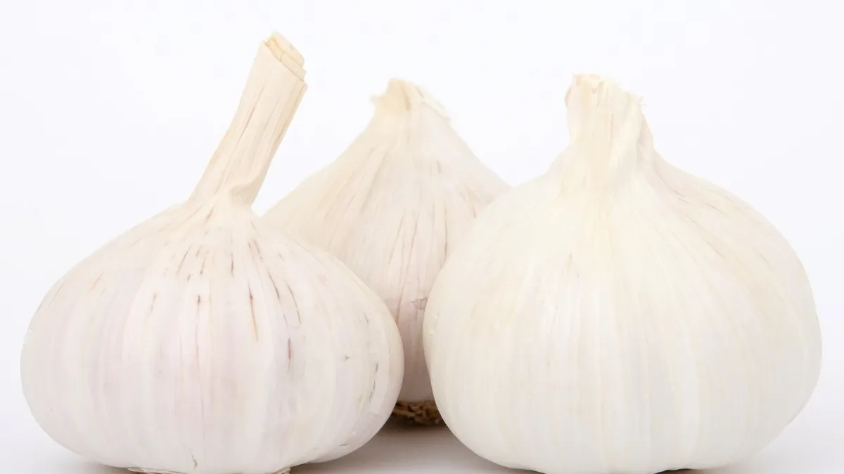 Best Foods to Support Your Liver