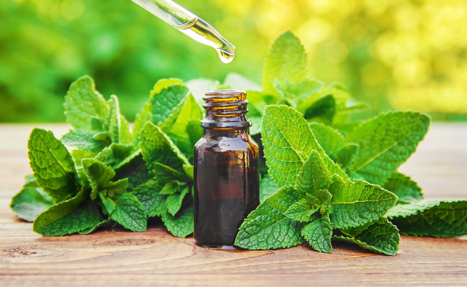 Essential Oil Peppermint