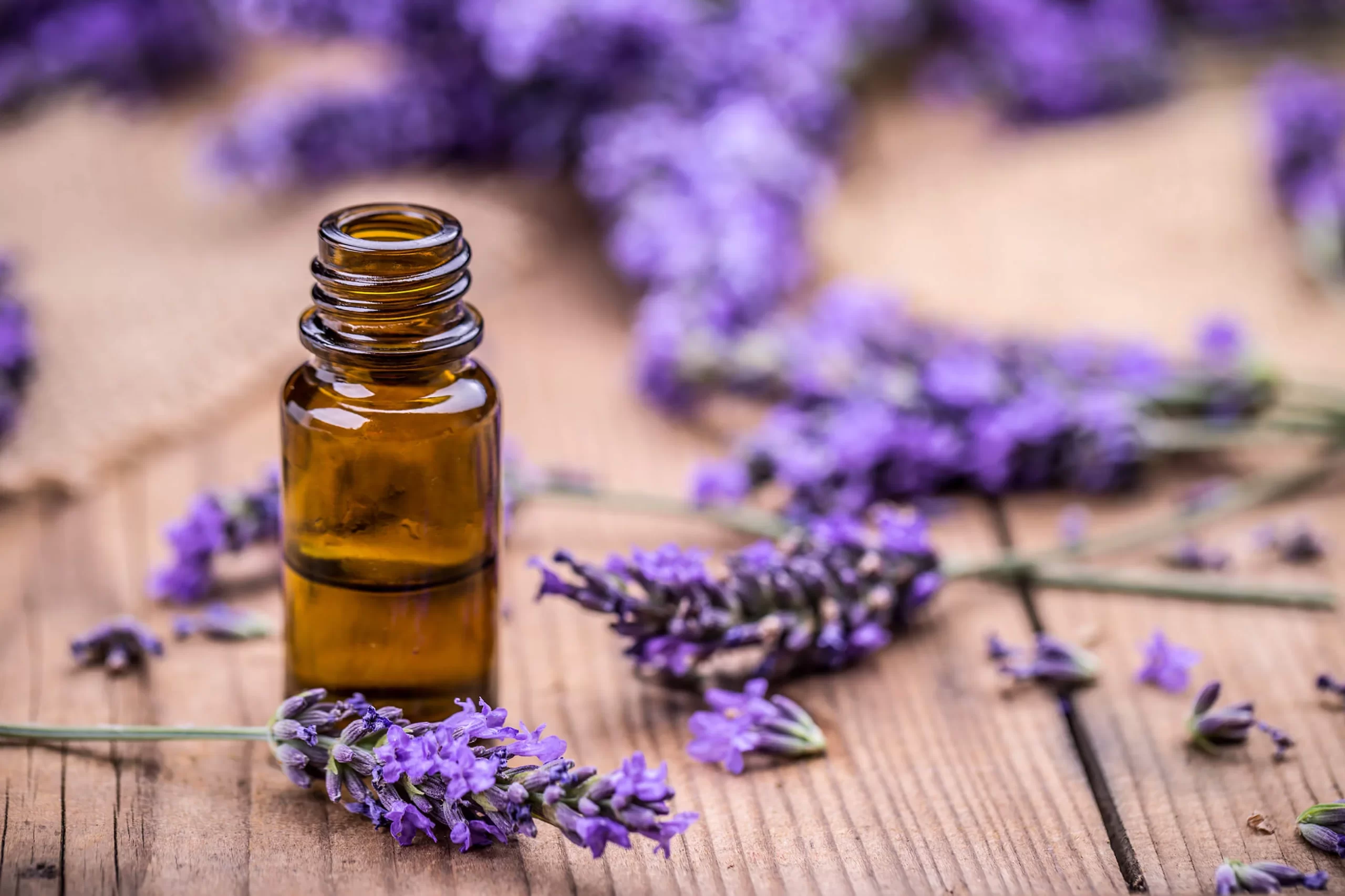 Essential Oil Lavender: Unlock Its Soothing Benefits