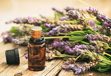 Essential Oil Lavender: Unlock Its Soothing Benefits 4 Essential Oil Lavender: Unlock Its Soothing Benefits 3