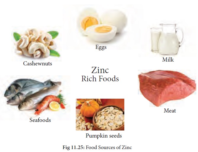What the Zinc Is Good for: Boost Your Immune System with Zinc 3