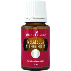 Essential Oil for Cough: Discover the Power of Essential Oils! 6 Essential Oil for Cough: Discover the Power of Essential Oils! 5